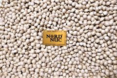 2019-10-ginkgo-biloba-nord-nuc-seed-batch-no1-industrial-phase-start-scaled