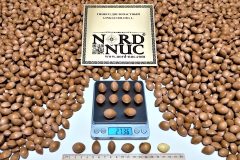 2020-ginkgo-biloba-artificial-stratification-viability-control-scaled